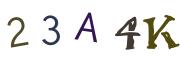 CAPTCHA con immagine
