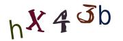 CAPTCHA con immagine