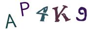 CAPTCHA con immagine