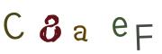 CAPTCHA con immagine
