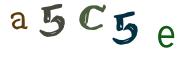 CAPTCHA con immagine
