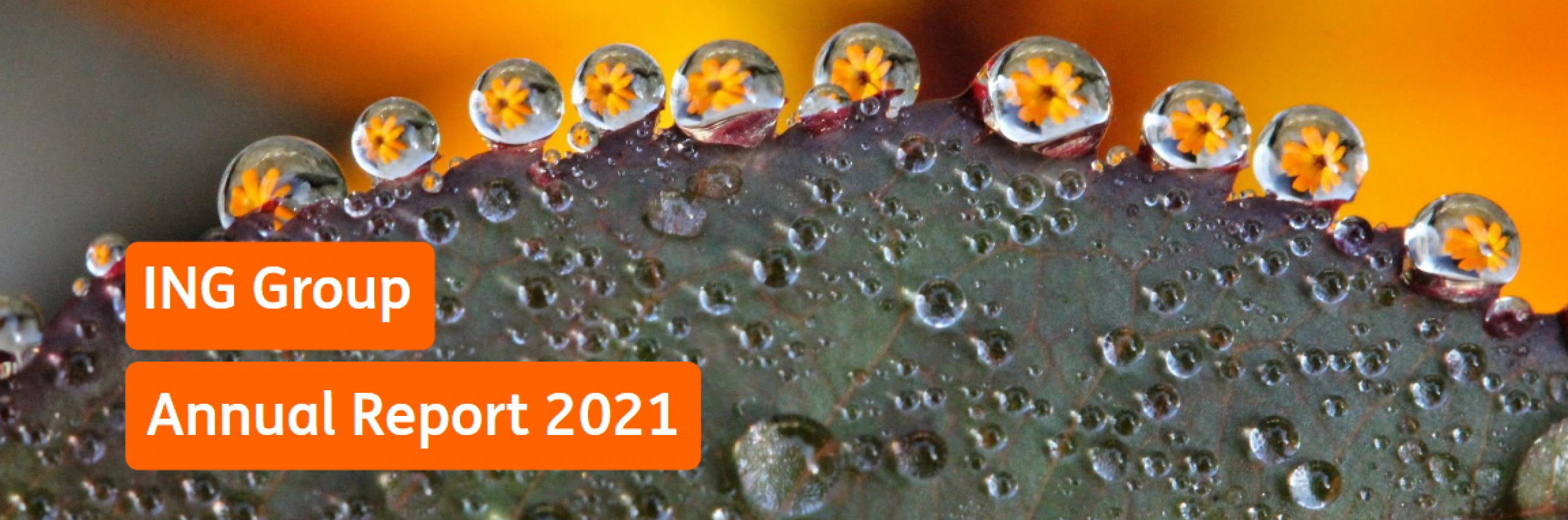 Ing Annual report