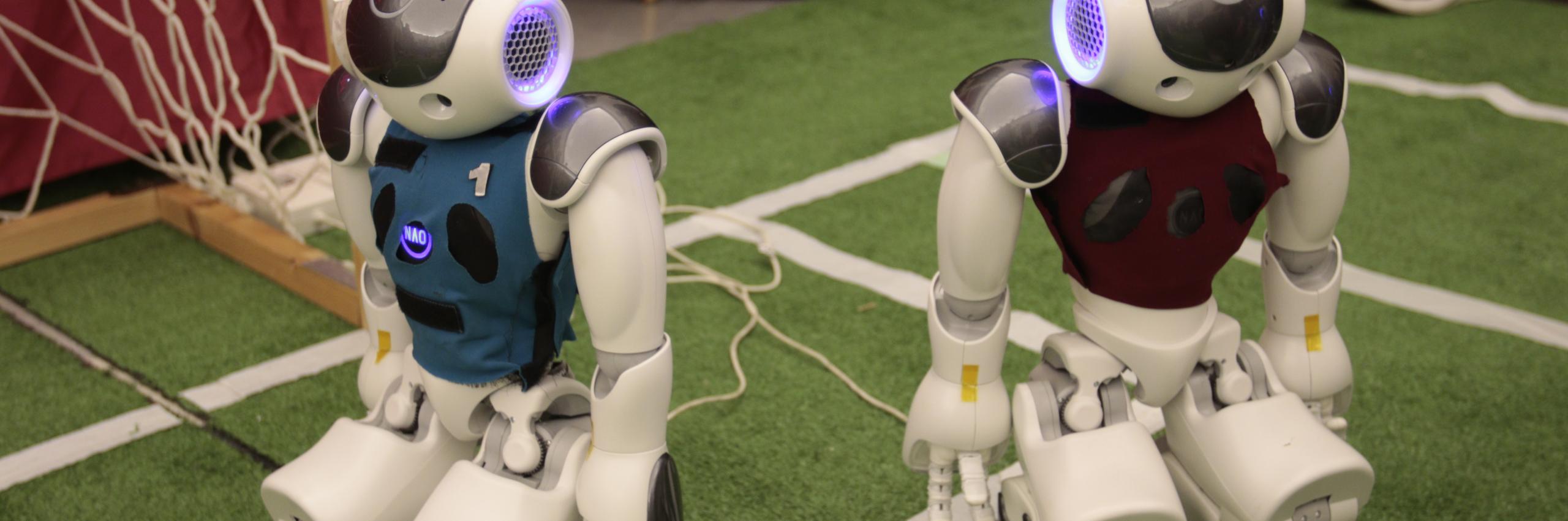 Robot Nao
