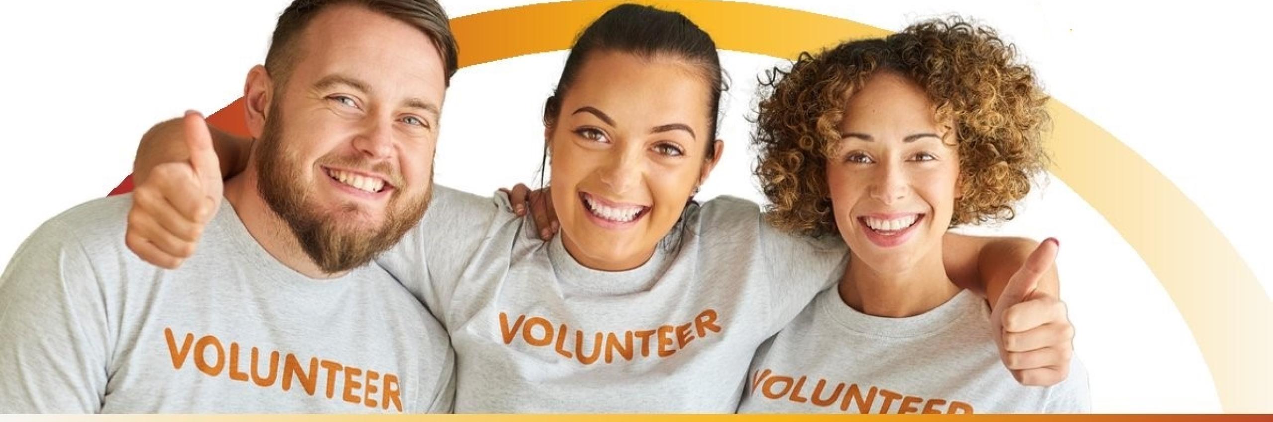 volontariato di competenza