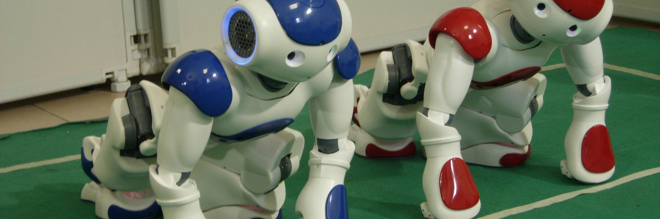 Sapienza, il contributo alla storia della RomeCup