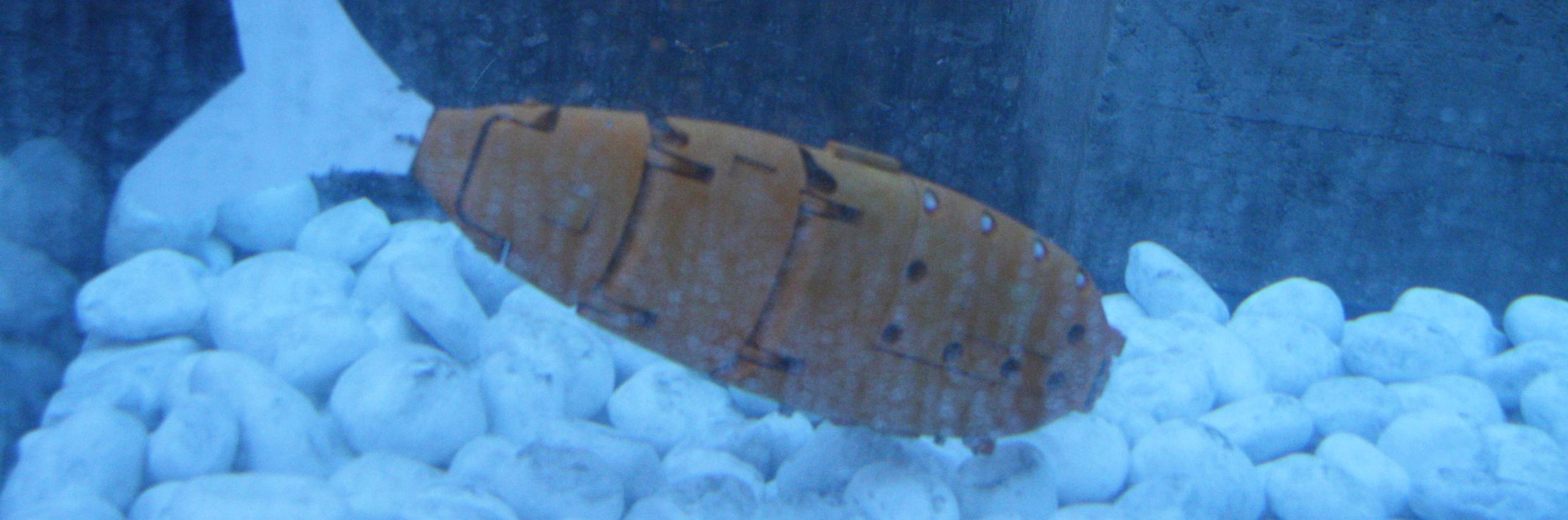 IMG_6496.JPG