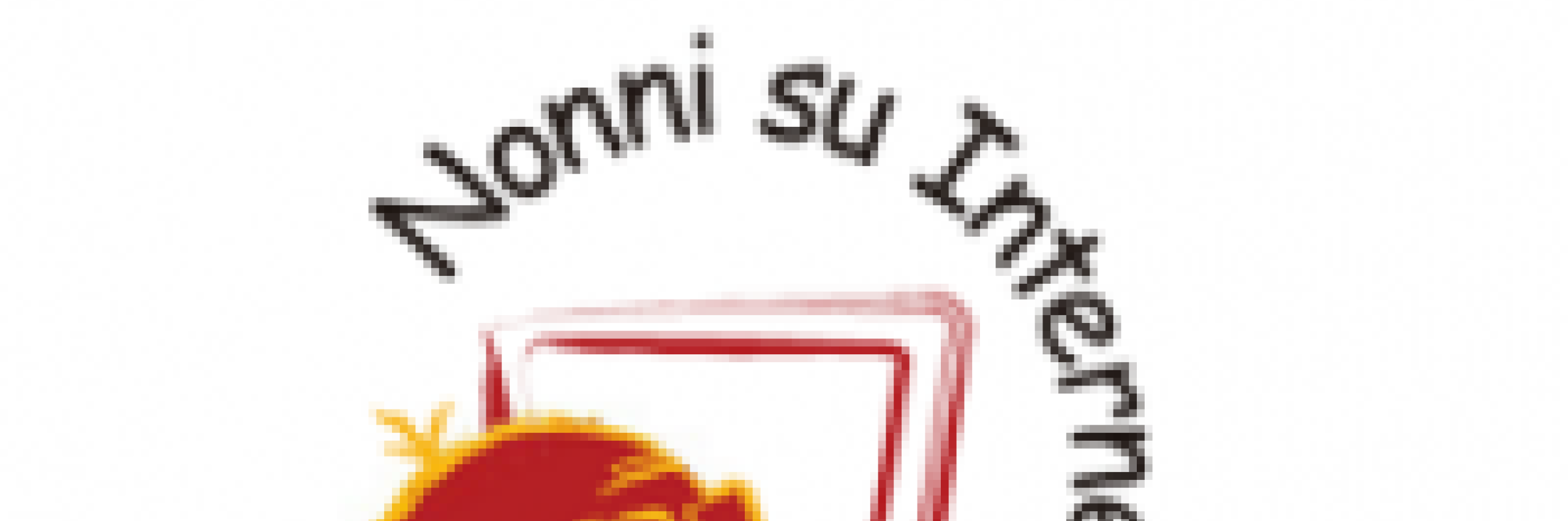 tecnologiasemplice_nsi.png