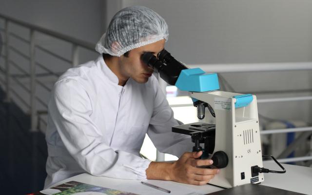 From Lab to life: alla scoperta del viaggio del farmaco