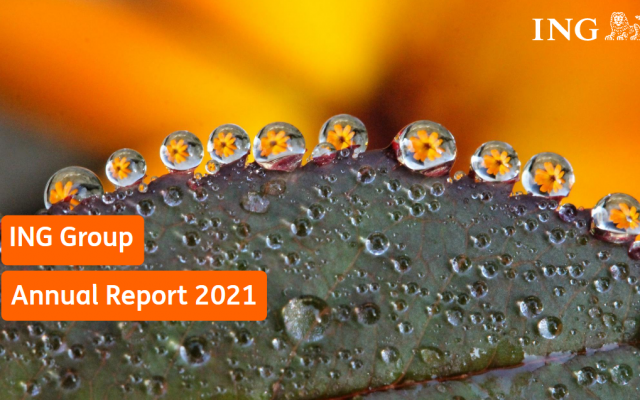 Ing Annual report