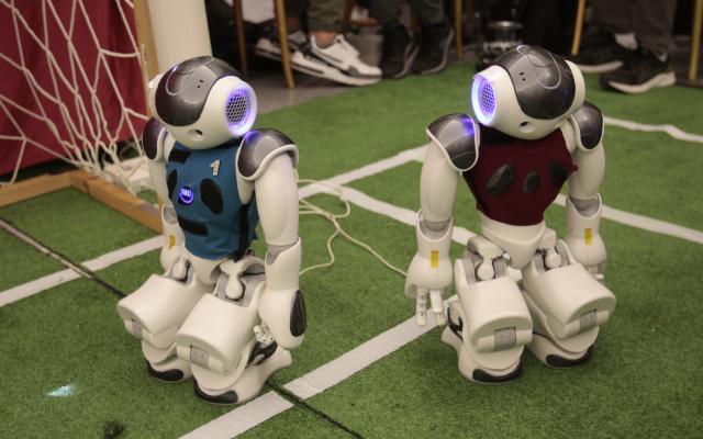 Robot Nao