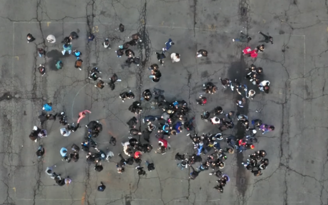 Giornata della Memoria: un flash mob dell'istituto comprensivo Bruino