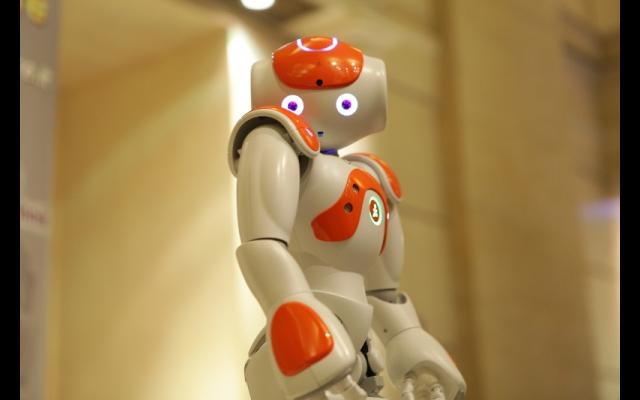 Nao-counselor (2).jpg